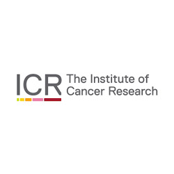 theinstituteofcancerresearch